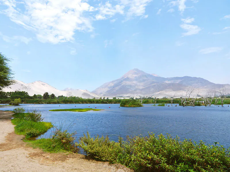 Laguna con vegetación en medio de paisaje desértico