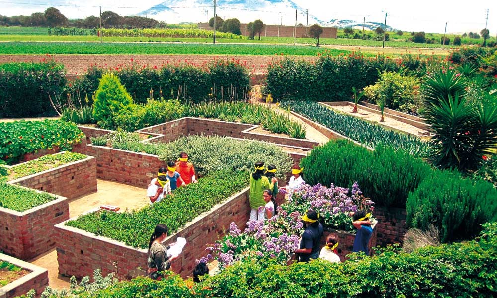 Personas en medio de un jardín