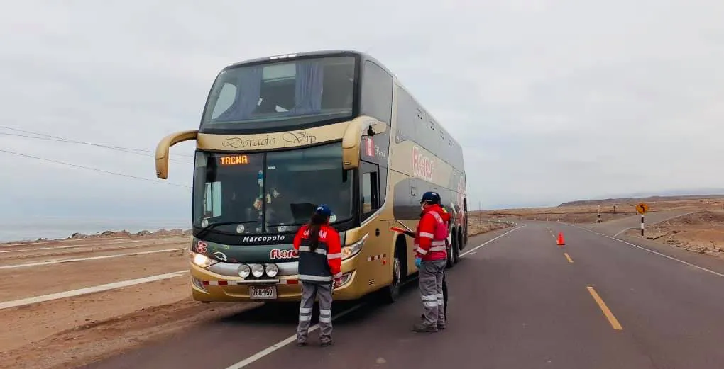 Bus dorado en medio de la carretera