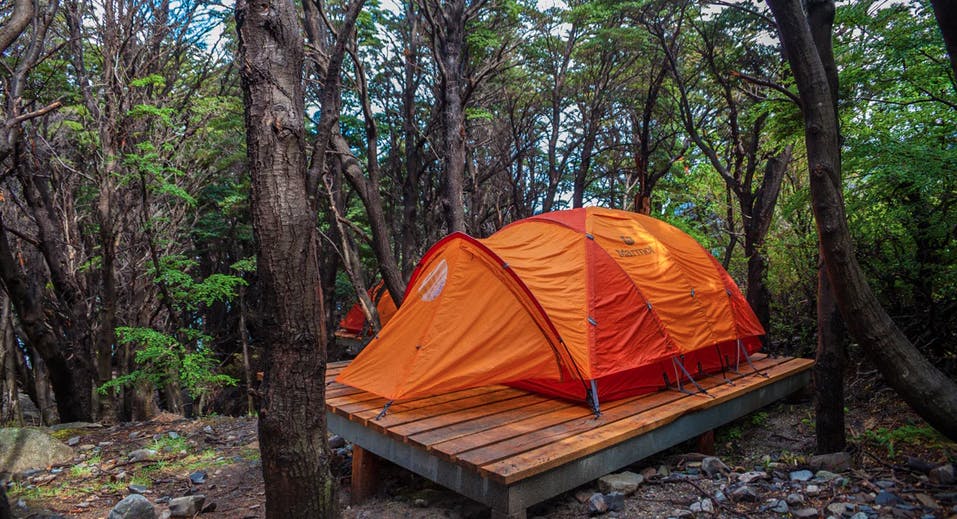 Carpa en medio del bosque en la patagonia chilena