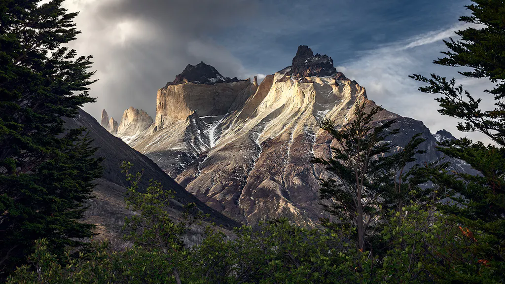 cuernos-paine Montaña cuernos del paine en medio del bosque durante la tarde