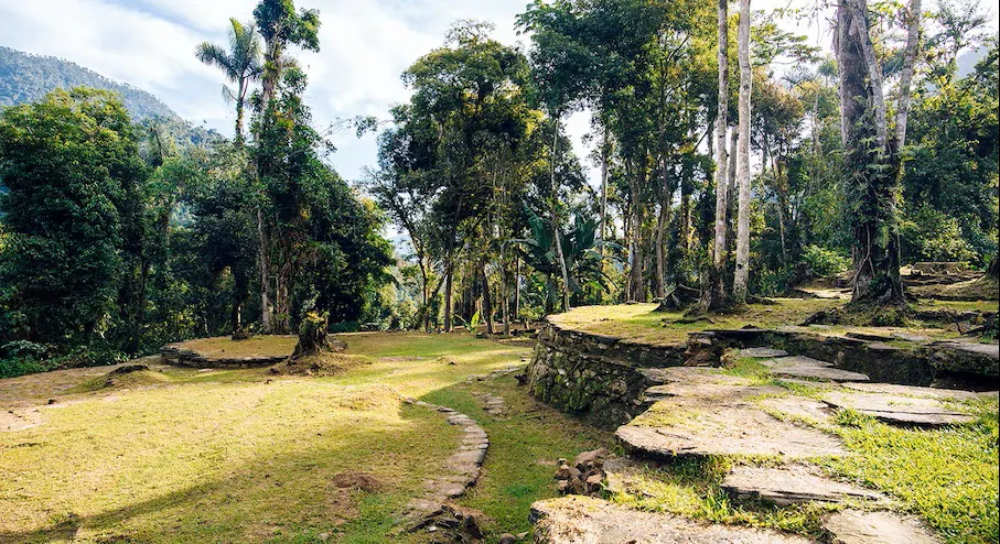 Arboles y restos de ciudad arqueologica en colombia