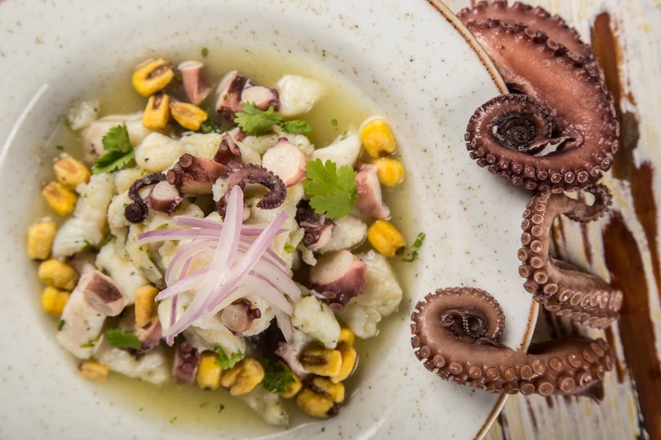 ceviche-pulpo-santa-marta