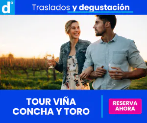 tour vinos concha y toro