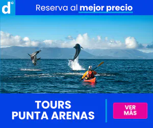 tour punta arenas