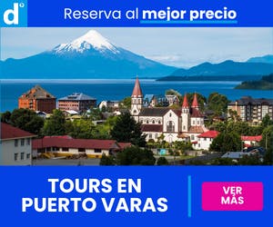 tours en puerto varas