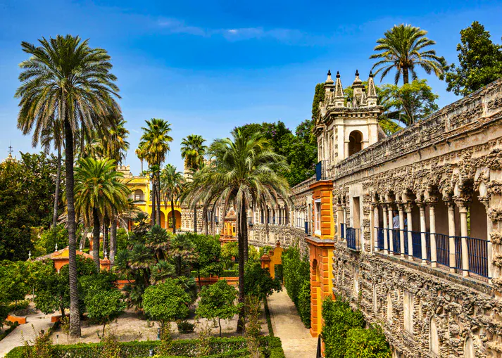 Palmeras y construcción española en la ciudad de Sevilla