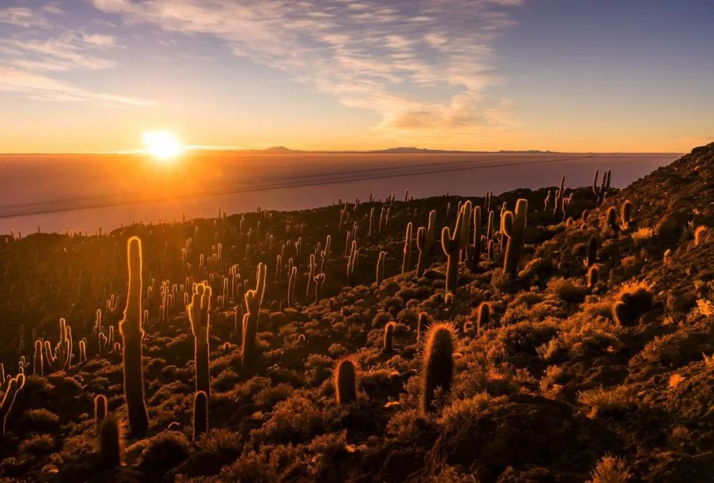 Nasce o sol numa ilha de cactos no meio de uma salina